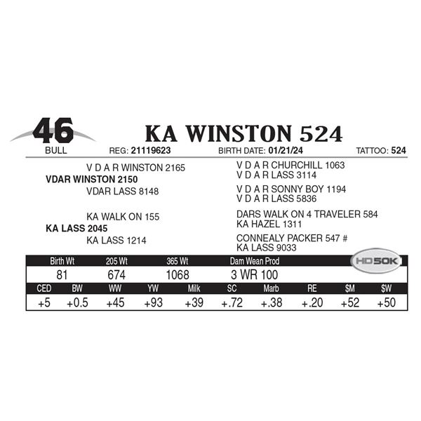 KA Winston 524
