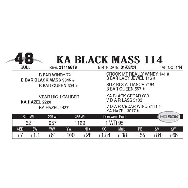 KA Black Mass 114