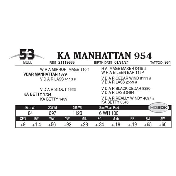 KA Manhattan 954