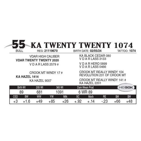 KA Twenty Twenty 1074