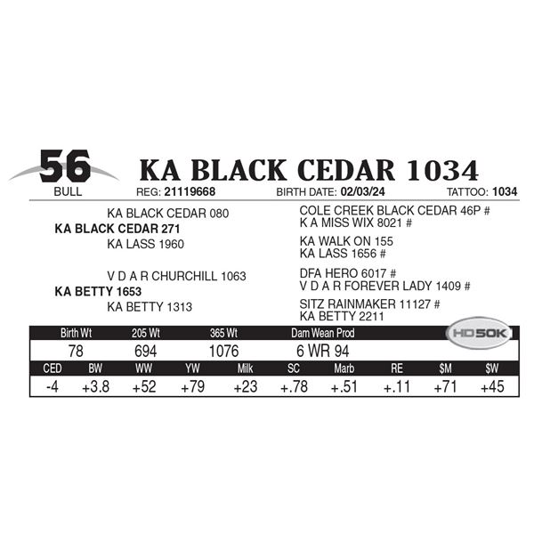 KA Black Cedar 1034