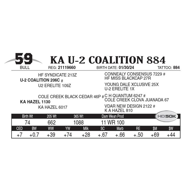 KA U-2 Coalition 884