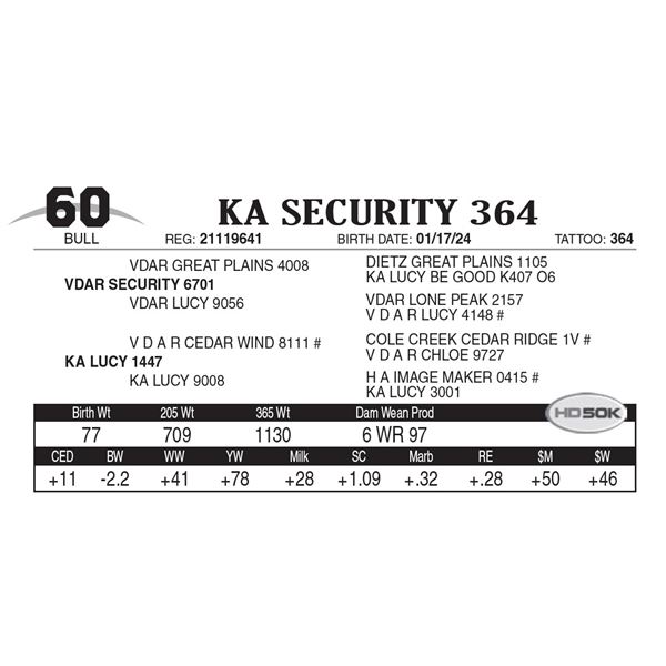 KA Security 364