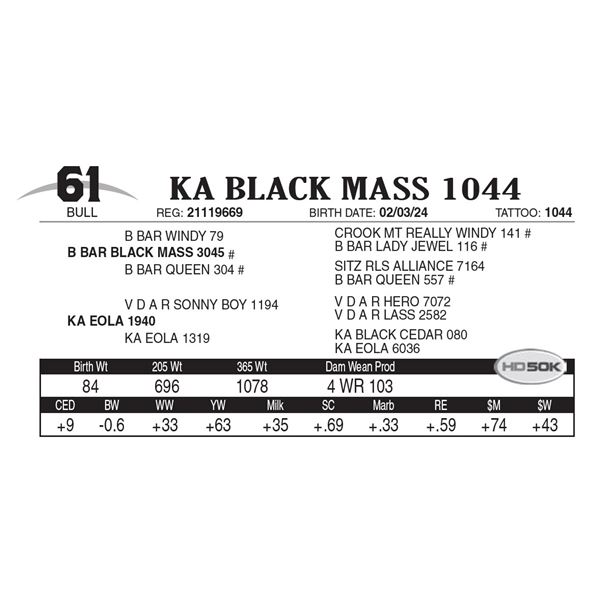 KA Black Mass 1044