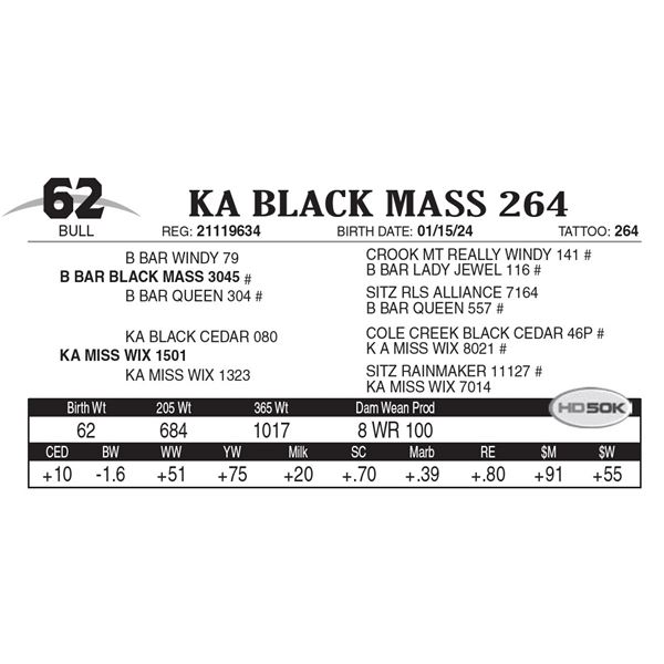 KA Black Mass 264