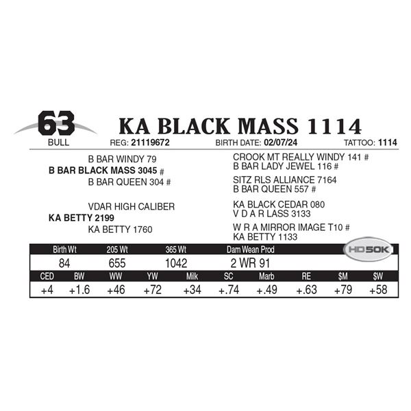 KA Black Mass 1114
