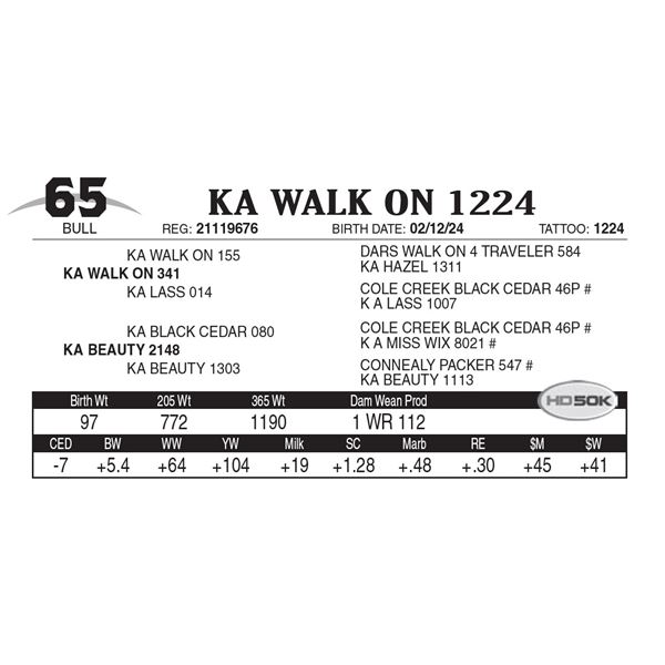 KA Walk On 1224