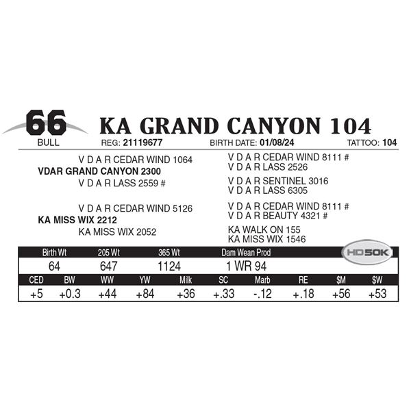 KA Grand Canyon 104