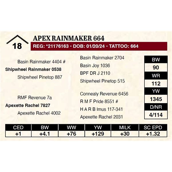 Apex Rainmaker 664