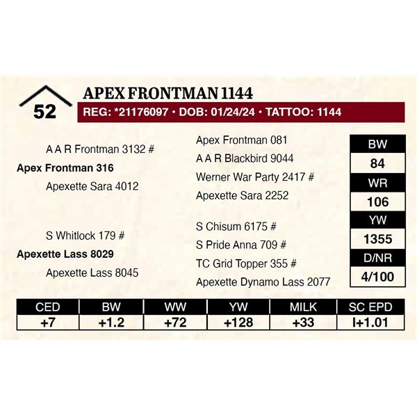 Apex Frontman 1144