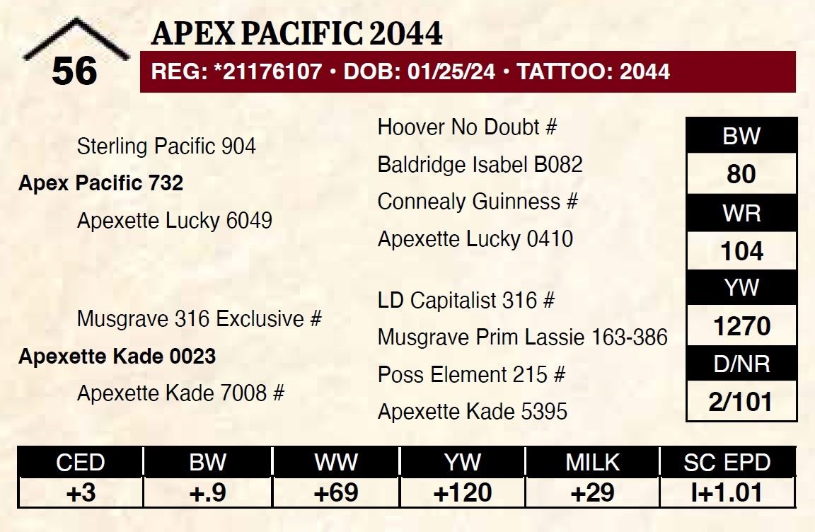 Apex Pacific 2044