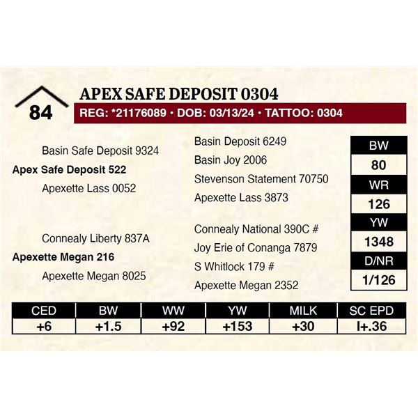 Apex Safe Deposit 0304