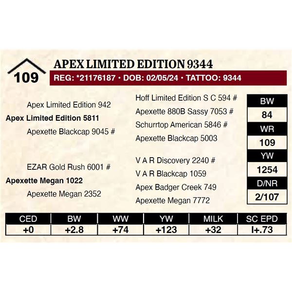Apex Limited Edition 9344