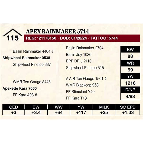 Apex Rainmaker 5744