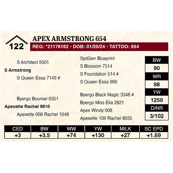 Apex Armstrong 654