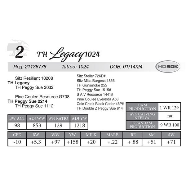 TH Legacy 1024