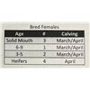 Image 1 : 3HD - SOLID MOUTH MARCH/APR CALVING COWS