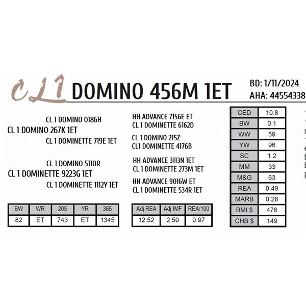 CL 1 DOMINO 456M 1ET