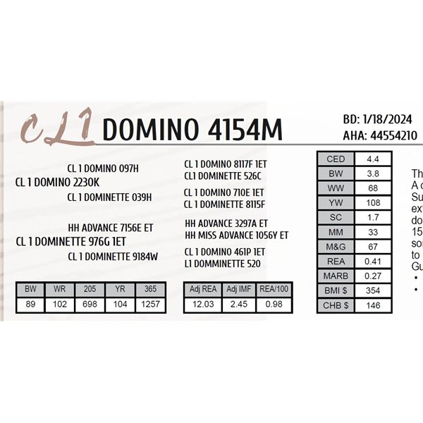 CL 1 DOMINO 4154M