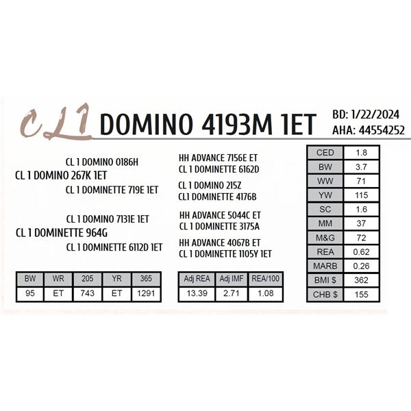 CL 1 DOMINO 4193M 1ET