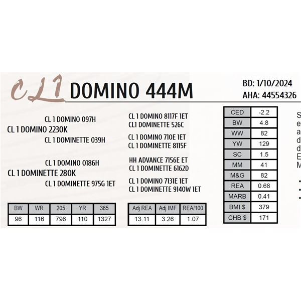 CL 1 DOMINO 444M