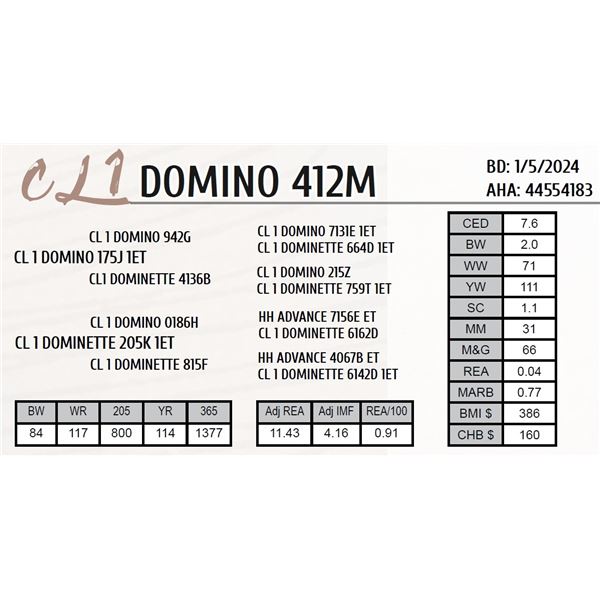 CL 1 DOMINO 412M
