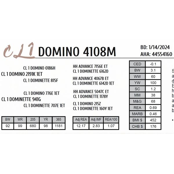 CL 1 DOMINO 4108M