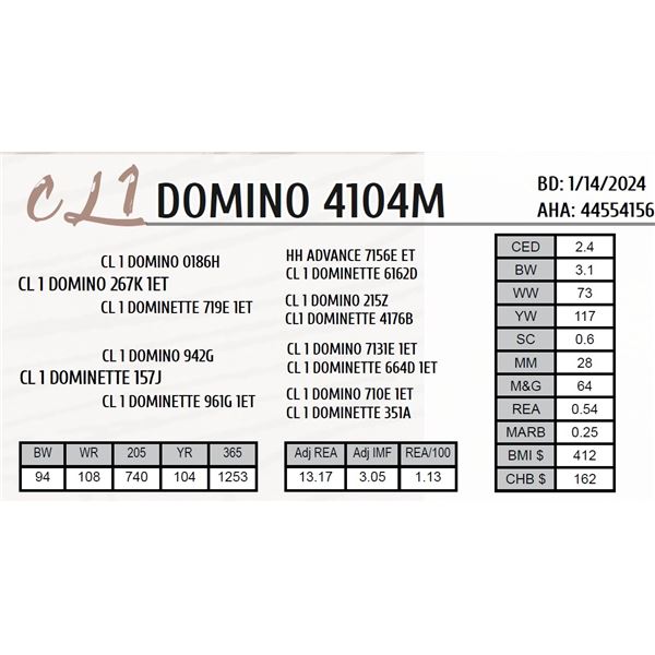 CL 1 DOMINO 4104M