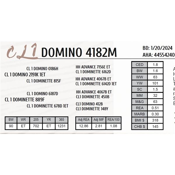 CL 1 DOMINO 4182M 1ET