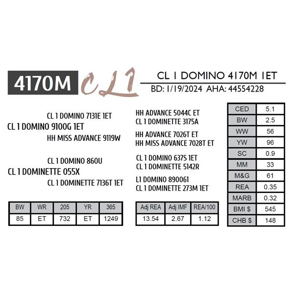 CL 1 DOMINO 4170M 1ET
