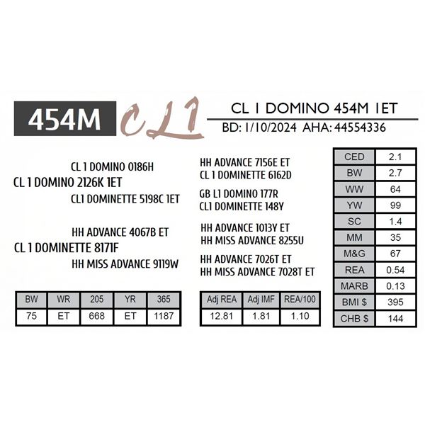CL 1 DOMINO 454M 1ET