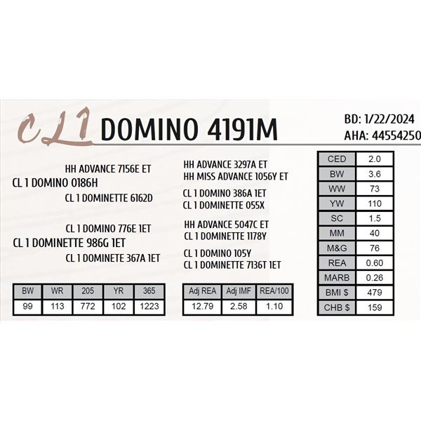 CL 1 DOMINO 4191M