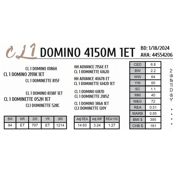 CL 1 DOMINO 4150M 1ET