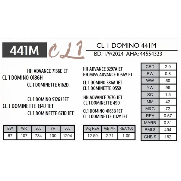 CL 1 DOMINO 441M