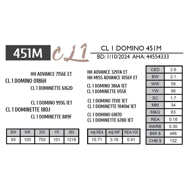 CL 1 DOMINO 451M