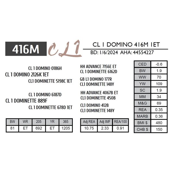 CL 1 DOMINO 416M 1ET