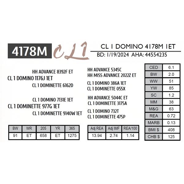 CL 1 DOMINO 4178M 1ET
