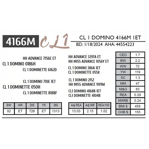 CL 1 DOMINO 4166M 1ET