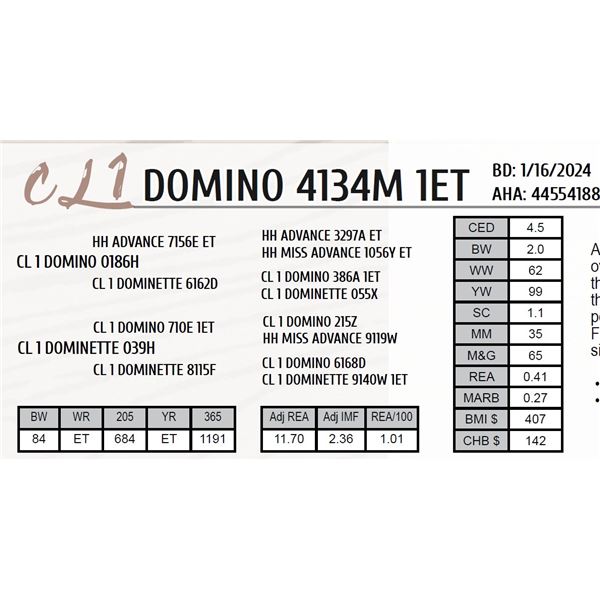 CL 1 DOMINO 4134M 1ET