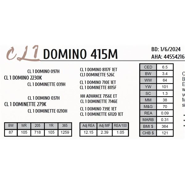 CL 1 DOMINO 415M