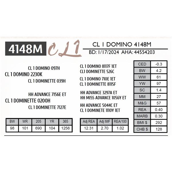 CL 1 DOMINO 4148M