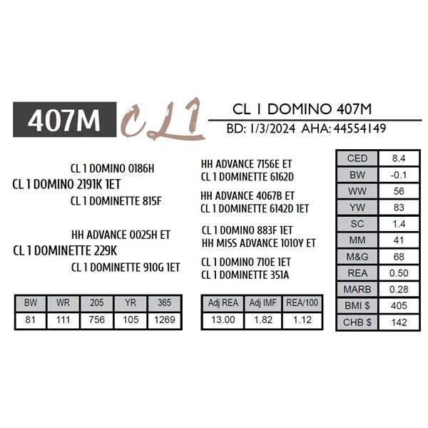 CL 1 DOMINO 407M