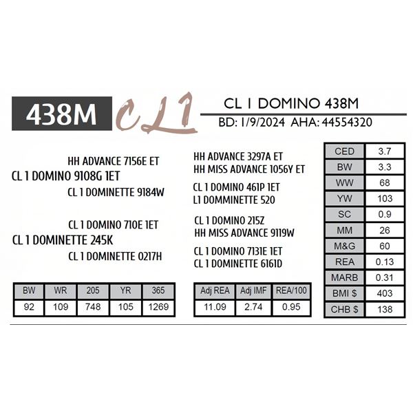 CL 1 DOMINO 438M