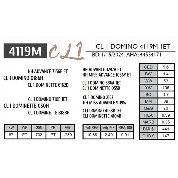 CL 1 DOMINO 4119M 1ET