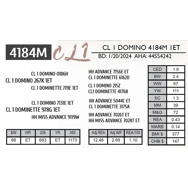 CL 1 DOMINO 4184M 1ET