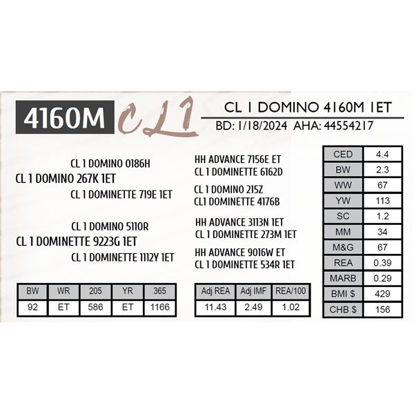 CL 1 DOMINO 4160M 1ET