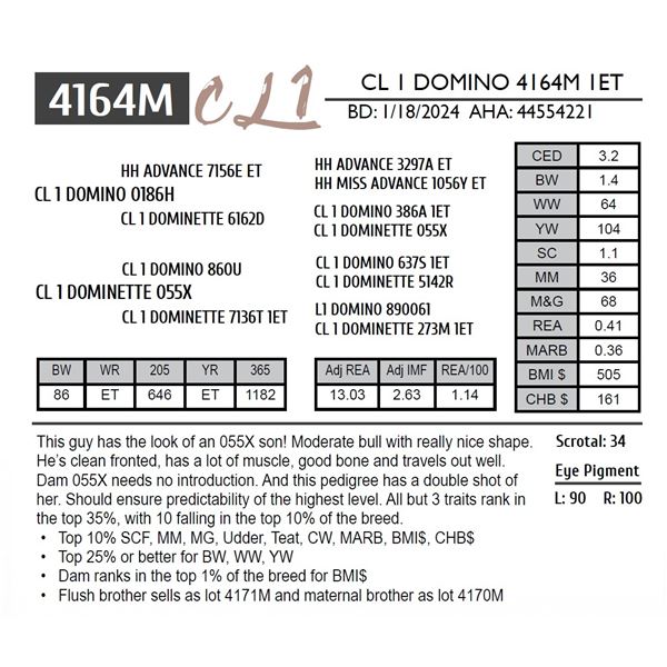 CL 1 DOMINO 4164M 1ET