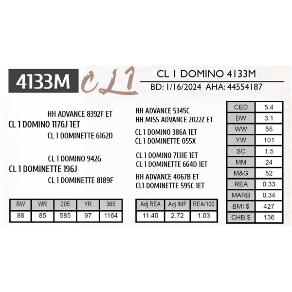 CL 1 DOMINO 4133M