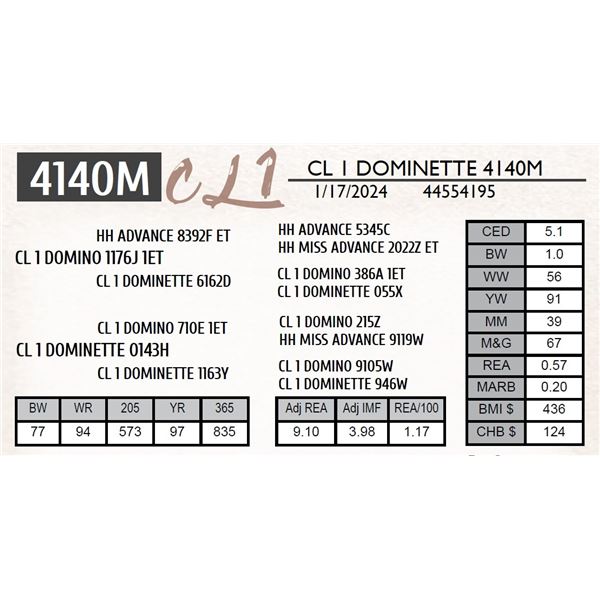 CL 1 DOMINETTE 4140M