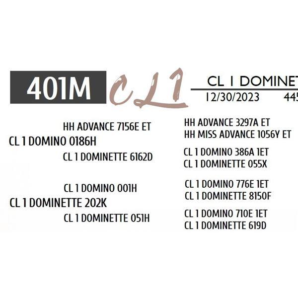 CL 1 DOMINETTE 410M